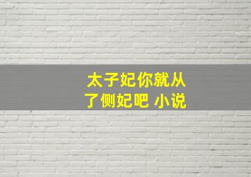 太子妃你就从了侧妃吧 小说